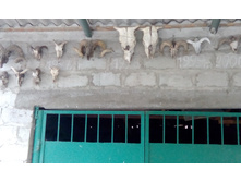 IMG 20151227 082839.jpg