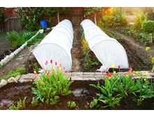 ������������, ��������