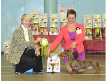 4 ������