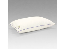 ������� ������� ����������.jpg