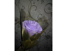 ���� � ���������� �����