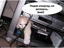 ���-��������������