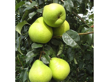 ����� ������������ ����-400�.