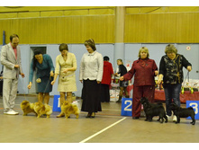 ������� ����������