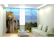 ������� (2).jpg