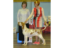 7 ������