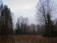 ������ ������� 2015-213.jpg