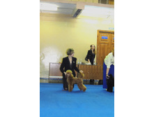 DSCN6105.JPG
