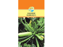 ������� ������F1 31.80+%