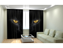 ������ ���.jpg