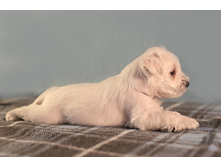 ��� �����2.JPG