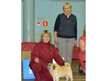 ������� ������� �� ��������� ������