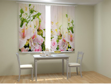 ������ �����.jpg