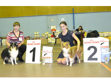 ���� �����