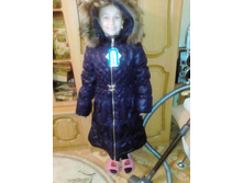 ������ ���������