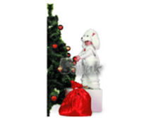 ������ (���) �����, �����, �����