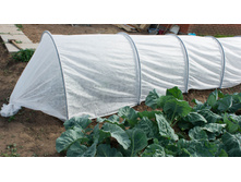 ������ 6�-560�