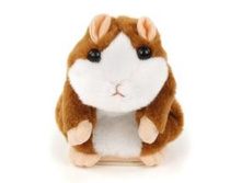 68516 Pictures.ashx2.jpg