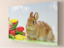 ������ � ����������.jpg