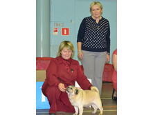 ������� ������� �� ��������� ������