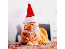 ���������� �����