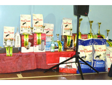 �������� ����