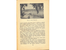 183.jpg