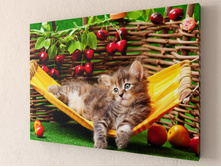 ��ԣ��� � ������.jpg