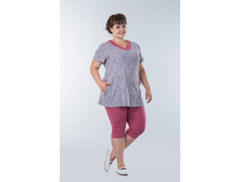 ������ ����� �.42-60 ���� 590 ���