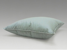 ���� �������.jpg