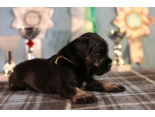 ��� ����� �-�4.JPG