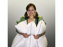 ������ � ��������.jpg