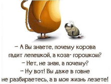 Image (31).jpg