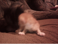 IMG 20151211 131255.jpg