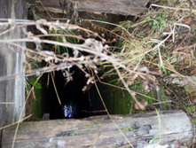 ������ ������� 2015-117.jpg