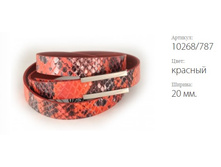 ������� ������ Classico 20 10268/787 �������