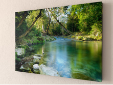 ����������� ����.jpg