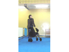 DSCN6103.JPG