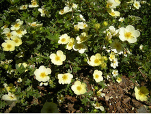 ���������� ��� «������� �����»1.jpg