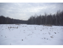 ���������� �����