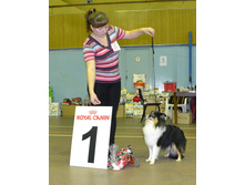 ���� �����