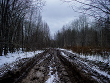 ������ ������� 2015-21.jpg