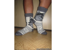 ������� ��������� ����� �������� ����� � ��������(����)