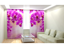 ������� �������.jpg