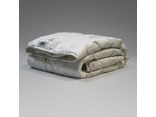 ������ �������� ���� �������.JPG