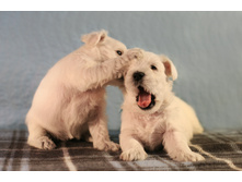 ��� �����5.JPG