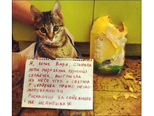 ��� ����� ������� �� ��������� ����� - 2