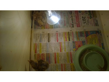 ��������� ���������