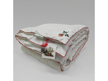 ������ ��������� ����.jpg