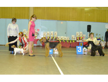 3 ������